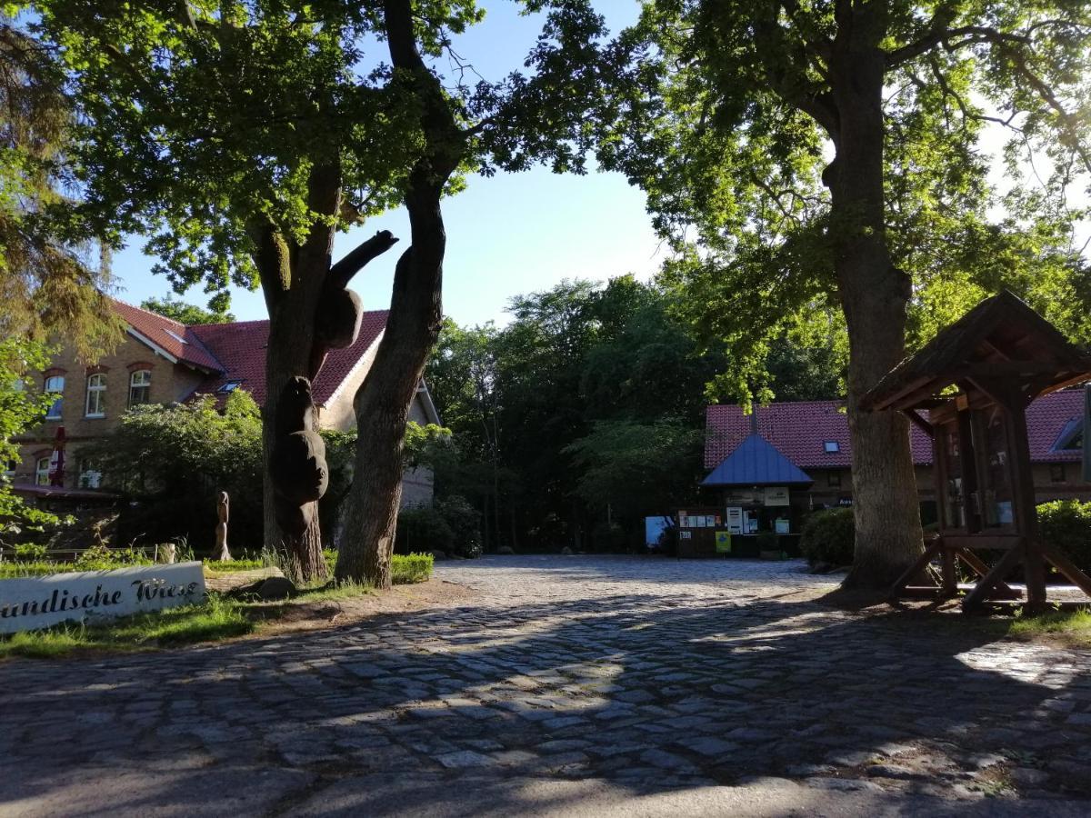 Hotel Schloesschen Sundische Wiese Zingst Exteriör bild